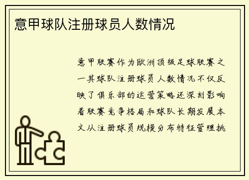 意甲球队注册球员人数情况