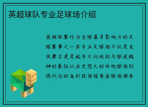 英超球队专业足球场介绍